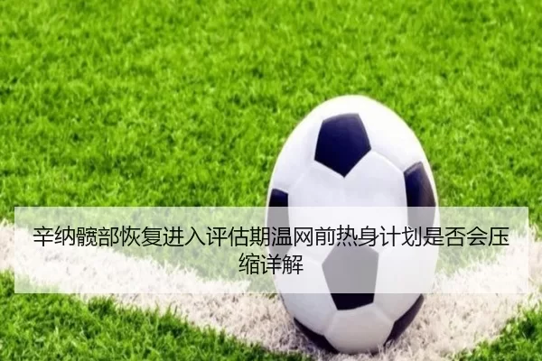 辛纳髋部恢复进入评估期温网前热身计划是否会压缩详解